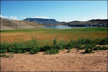 Callville Wash South Road