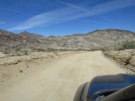 Christmas Tree Pass Road