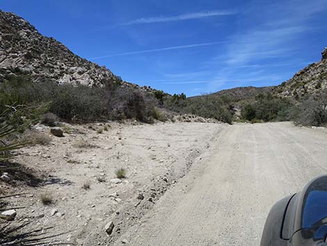 Christmas Tree Pass Road