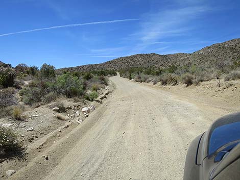 Christmas Tree Pass Road