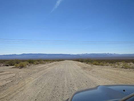 Christmas Tree Pass Road