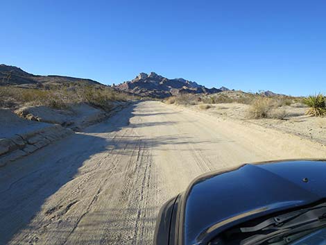 Christmas Tree Pass Road