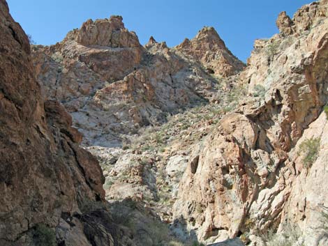 Lower Grapevine Canyon Road