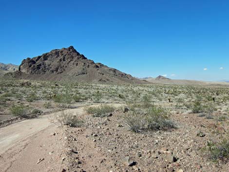 Rockefeller Mine Road