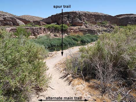 Wetlands Trail