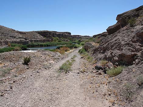 Wetlands Trail