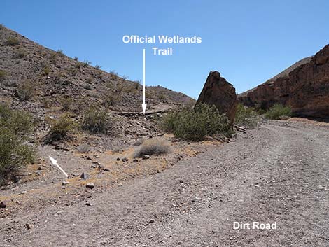 Wetlands Trail