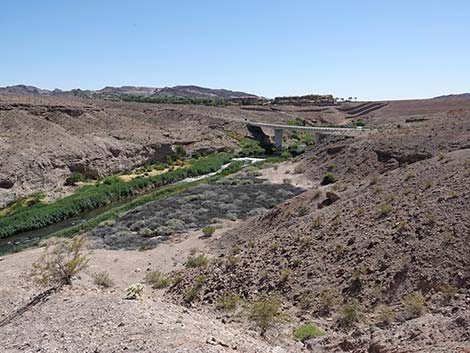 Wetlands Trail