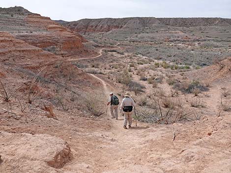 White Owl Canyon