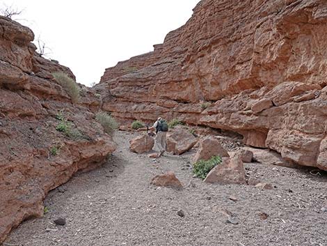 White Owl Canyon