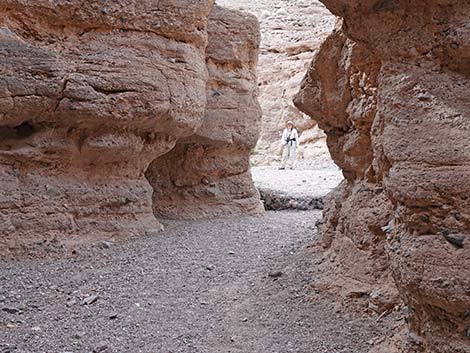 White Owl Canyon