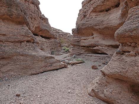 White Owl Canyon