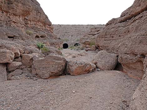 White Owl Canyon