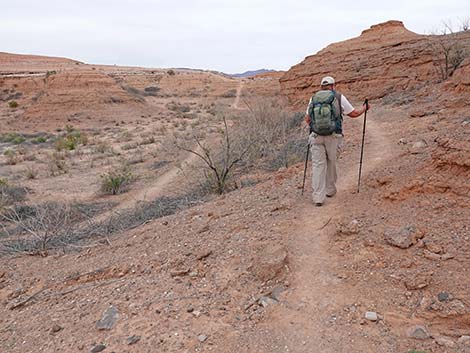 White Owl Canyon