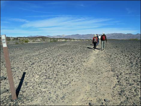 Amboy Crater