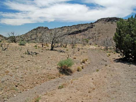 Mid Hills to Hole-in-the-Wall Trail