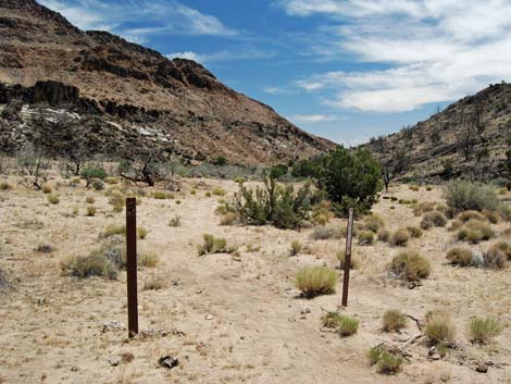 Mid Hills to Hole-in-the-Wall Trail