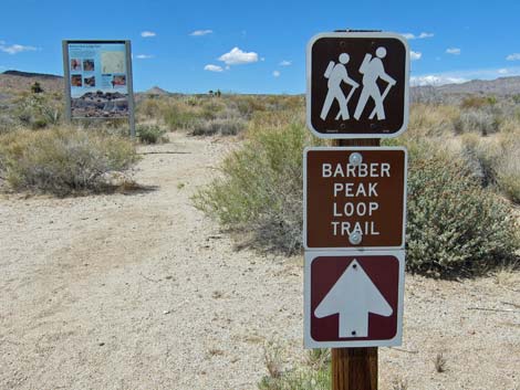 Cactus Garden Loop Trail