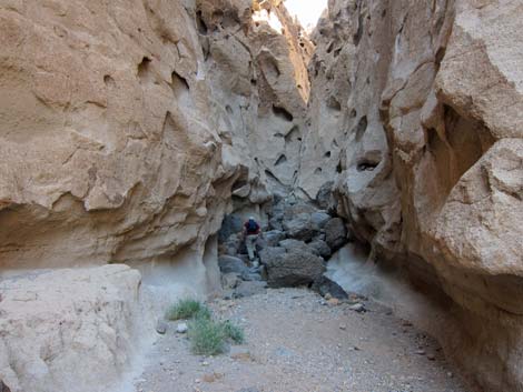 Barber Loop Trail