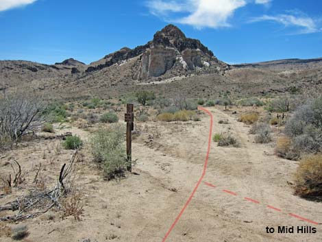 Barber Loop Trail