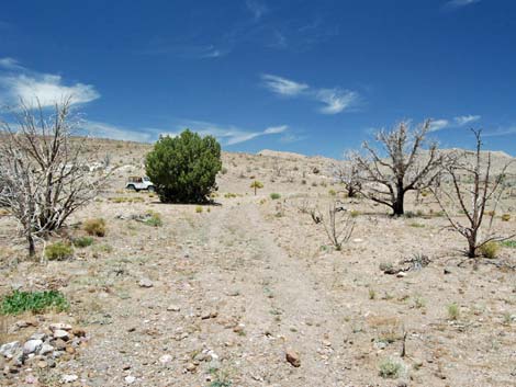 Barber Loop Trail