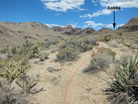 Barber Loop Trail