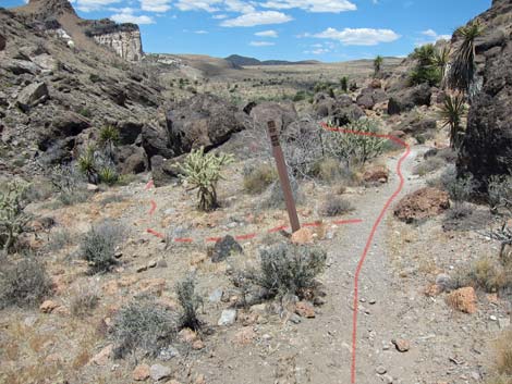 Barber Loop Trail