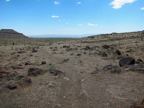 Barber Loop Trail