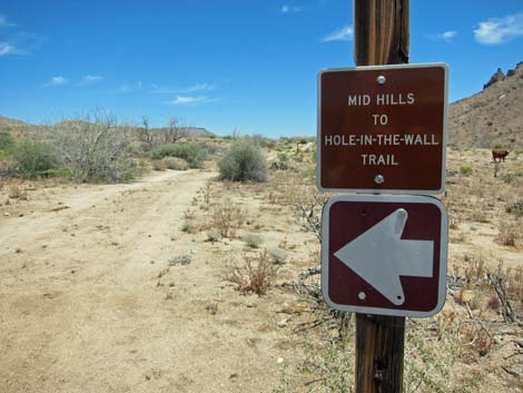 Barber Loop Trail