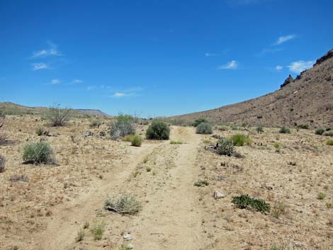 Barber Loop Trail