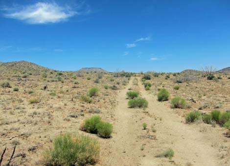 Barber Loop Trail