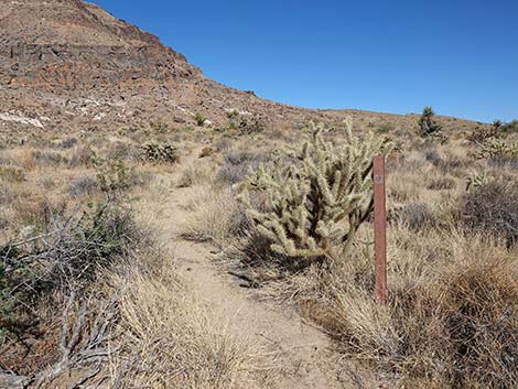 Barber Loop Trail