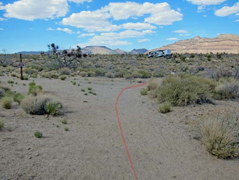 Cactus Garden Loop Trail