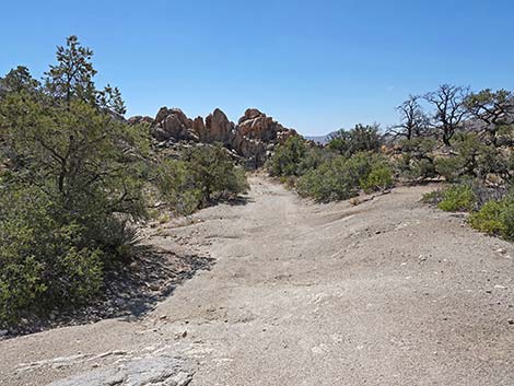 Caruthers Canyon