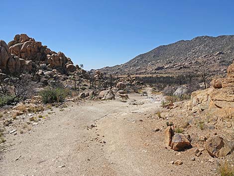 Caruthers Canyon