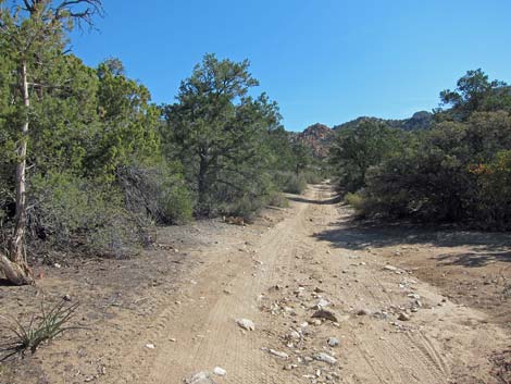 Caruthers Canyon