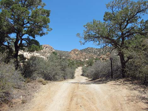 Caruthers Canyon