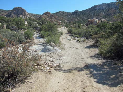 Caruthers Canyon Road