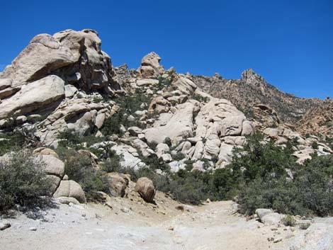 Caruthers Canyon Road