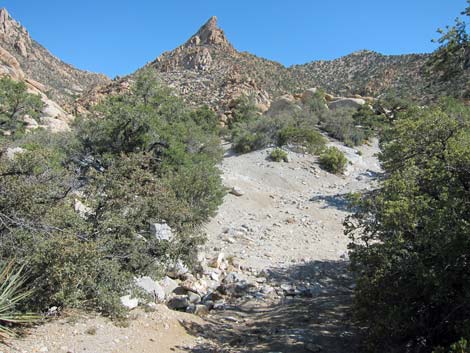 Caruthers Canyon Road