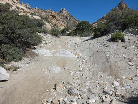 Caruthers Canyon Road