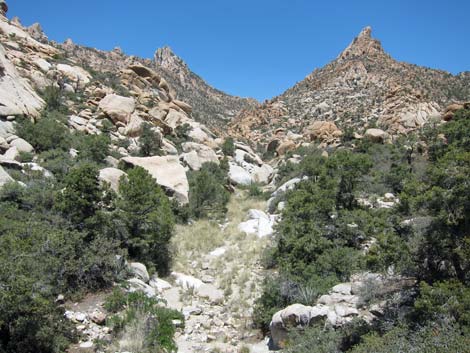 Caruthers Canyon