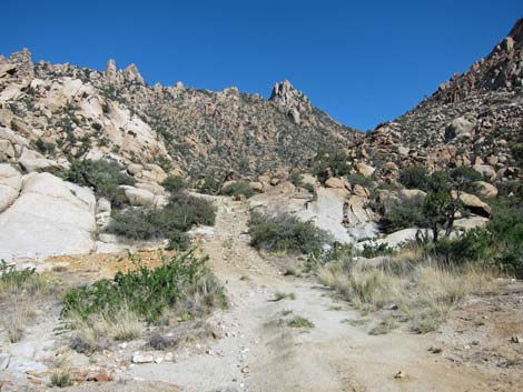 Caruthers Canyon