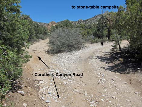 Caruthers Canyon Road