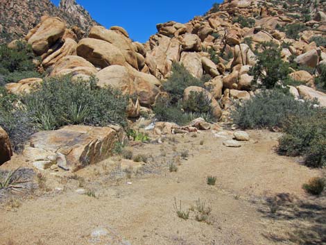 Caruthers Canyon