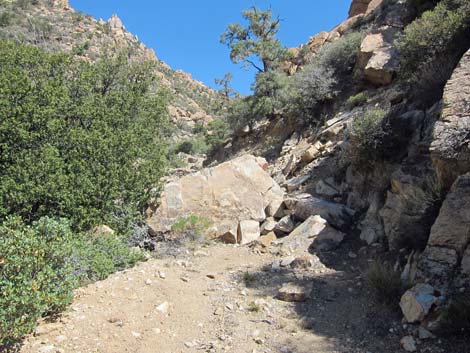 Caruthers Canyon Road