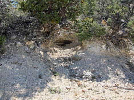 Caruthers Canyon