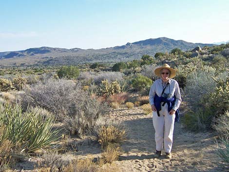 Mojave National Preserve