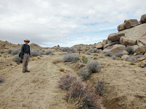 Hole-in-the-Wall to Mid Hills Trail