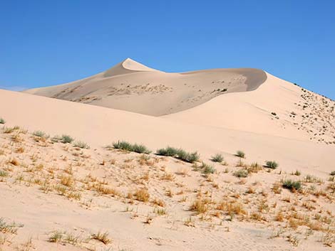 Kelso Dunes